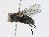  ( - CBG-A23314-A03)  @11 [ ] CreativeCommons - Attribution Share - Alike (2023) CBG Photography Group Centre for Biodiversity Genomics