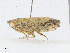  ( - CBG-A23315-B09)  @11 [ ] CreativeCommons - Attribution Share - Alike (2023) CBG Photography Group Centre for Biodiversity Genomics