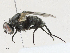  ( - CBG-A18361-E01)  @11 [ ] CreativeCommons - Attribution Share - Alike (2023) CBG Photography Group Centre for Biodiversity Genomics