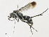  ( - CBG-A21655-C12)  @11 [ ] CreativeCommons - Attribution Share - Alike (2023) CBG Photography Group Centre for Biodiversity Genomics