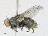  ( - CBG-A21714-G03)  @11 [ ] CreativeCommons - Attribution Share - Alike (2023) CBG Photography Group Centre for Biodiversity Genomics