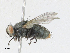  ( - CBG-A21715-C03)  @11 [ ] CreativeCommons - Attribution Share - Alike (2023) CBG Photography Group Centre for Biodiversity Genomics