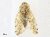  ( - CBG-A21716-B12)  @11 [ ] CreativeCommons - Attribution Share - Alike (2023) CBG Photography Group Centre for Biodiversity Genomics