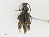  ( - CBG-A21727-E02)  @11 [ ] CreativeCommons - Attribution Share - Alike (2023) CBG Photography Group Centre for Biodiversity Genomics