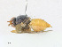  ( - CBG-A23318-A04)  @11 [ ] CreativeCommons - Attribution Share - Alike (2023) CBG Photography Group Centre for Biodiversity Genomics