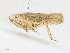  ( - CBG-A23318-F04)  @11 [ ] CreativeCommons - Attribution Share - Alike (2023) CBG Photography Group Centre for Biodiversity Genomics