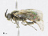  ( - CBG-A23356-A08)  @11 [ ] CreativeCommons - Attribution Share - Alike (2023) CBG Photography Group Centre for Biodiversity Genomics
