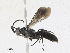  ( - CBG-A23356-D05)  @11 [ ] CreativeCommons - Attribution Share - Alike (2023) CBG Photography Group Centre for Biodiversity Genomics