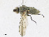  ( - CBG-A23358-B09)  @11 [ ] CreativeCommons - Attribution Share - Alike (2023) CBG Photography Group Centre for Biodiversity Genomics