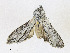  ( - CBG-A18363-D07)  @11 [ ] CreativeCommons - Attribution Share - Alike (2023) CBG Photography Group Centre for Biodiversity Genomics