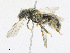  ( - CBG-A18364-G01)  @11 [ ] CreativeCommons - Attribution Share - Alike (2023) CBG Photography Group Centre for Biodiversity Genomics