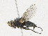  ( - CBG-A23377-E06)  @11 [ ] CreativeCommons - Attribution Share-Alike (2023) CBG Photography Group Centre for Biodiversity Genomics