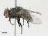  ( - CBG-A23377-E07)  @11 [ ] CreativeCommons - Attribution Share-Alike (2023) CBG Photography Group Centre for Biodiversity Genomics