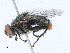 ( - CBG-A23378-H04)  @11 [ ] CreativeCommons - Attribution Share-Alike (2023) CBG Photography Group Centre for Biodiversity Genomics