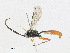  ( - CBG-A24197-A08)  @11 [ ] CreativeCommons - Attribution Share - Alike (2023) CBG Photography Group Centre for Biodiversity Genomics