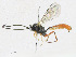  ( - CBG-A24197-A09)  @11 [ ] CreativeCommons - Attribution Share - Alike (2023) CBG Photography Group Centre for Biodiversity Genomics