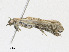  ( - CBG-A24197-C10)  @11 [ ] CreativeCommons - Attribution Share - Alike (2023) CBG Photography Group Centre for Biodiversity Genomics