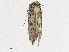 ( - CBG-A24197-D01)  @11 [ ] CreativeCommons - Attribution Share - Alike (2023) CBG Photography Group Centre for Biodiversity Genomics