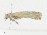  ( - CBG-A24198-B07)  @11 [ ] CreativeCommons - Attribution Share - Alike (2023) CBG Photography Group Centre for Biodiversity Genomics