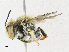  ( - CBG-A24200-B12)  @11 [ ] CreativeCommons - Attribution Share-Alike (2023) CBG Photography Group Centre for Biodiversity Genomics