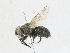  ( - CBG-A24201-B03)  @11 [ ] CreativeCommons - Attribution Share-Alike (2023) CBG Photography Group Centre for Biodiversity Genomics