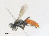  ( - CBG-A21748-D02)  @11 [ ] CreativeCommons - Attribution Share - Alike (2023) CBG Photography Group Centre for Biodiversity Genomics