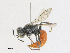  ( - CBG-A21748-D03)  @11 [ ] CreativeCommons - Attribution Share - Alike (2023) CBG Photography Group Centre for Biodiversity Genomics