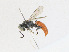  ( - CBG-A21748-D04)  @11 [ ] CreativeCommons - Attribution Share - Alike (2023) CBG Photography Group Centre for Biodiversity Genomics