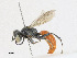  ( - CBG-A21748-D05)  @11 [ ] CreativeCommons - Attribution Share - Alike (2023) CBG Photography Group Centre for Biodiversity Genomics