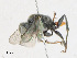  ( - CBG-A21748-D06)  @11 [ ] CreativeCommons - Attribution Share - Alike (2023) CBG Photography Group Centre for Biodiversity Genomics