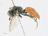  ( - CBG-A21748-D07)  @11 [ ] CreativeCommons - Attribution Share - Alike (2023) CBG Photography Group Centre for Biodiversity Genomics