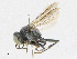  ( - CBG-A21748-D08)  @11 [ ] CreativeCommons - Attribution Share - Alike (2023) CBG Photography Group Centre for Biodiversity Genomics