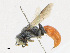  ( - CBG-A21748-D10)  @11 [ ] CreativeCommons - Attribution Share - Alike (2023) CBG Photography Group Centre for Biodiversity Genomics