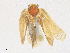  ( - CBG-A21752-G06)  @11 [ ] CreativeCommons - Attribution Share - Alike (2023) CBG Photography Group Centre for Biodiversity Genomics