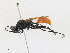  ( - CBG-A23389-A02)  @11 [ ] CreativeCommons - Attribution Share - Alike (2023) CBG Photography Group Centre for Biodiversity Genomics