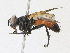  ( - CBG-A23390-B11)  @11 [ ] CreativeCommons - Attribution Share - Alike (2023) CBG Photography Group Centre for Biodiversity Genomics
