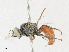  ( - CBG-A23390-B12)  @11 [ ] CreativeCommons - Attribution Share - Alike (2023) CBG Photography Group Centre for Biodiversity Genomics