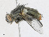  ( - CBG-A23391-C03)  @11 [ ] CreativeCommons - Attribution Share - Alike (2023) CBG Photography Group Centre for Biodiversity Genomics