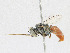  ( - CBG-A23391-C09)  @11 [ ] CreativeCommons - Attribution Share - Alike (2023) CBG Photography Group Centre for Biodiversity Genomics