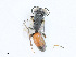  ( - CBG-A23415-H01)  @11 [ ] CreativeCommons - Attribution Share - Alike (2023) CBG Photography Group Centre for Biodiversity Genomics