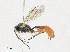  ( - CBG-A24209-G08)  @11 [ ] CreativeCommons - Attribution Share - Alike (2023) CBG Photography Group Centre for Biodiversity Genomics