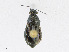  ( - CBG-A24210-A10)  @11 [ ] CreativeCommons - Attribution Share - Alike (2023) CBG Photography Group Centre for Biodiversity Genomics