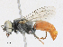 ( - CBG-A24211-D02)  @11 [ ] CreativeCommons - Attribution Share - Alike (2024) CBG Photography Group Centre for Biodiversity Genomics