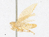  ( - CBG-A24212-D09)  @11 [ ] CreativeCommons - Attribution Share - Alike (2024) CBG Photography Group Centre for Biodiversity Genomics