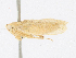  ( - CBG-A24212-D10)  @11 [ ] CreativeCommons - Attribution Share - Alike (2024) CBG Photography Group Centre for Biodiversity Genomics