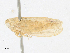  ( - CBG-A24212-D11)  @11 [ ] CreativeCommons - Attribution Share - Alike (2024) CBG Photography Group Centre for Biodiversity Genomics
