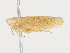  ( - CBG-A24212-E01)  @11 [ ] CreativeCommons - Attribution Share - Alike (2024) CBG Photography Group Centre for Biodiversity Genomics