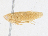  ( - CBG-A24212-E02)  @11 [ ] CreativeCommons - Attribution Share - Alike (2024) CBG Photography Group Centre for Biodiversity Genomics