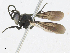  ( - CBG-A24212-E10)  @11 [ ] CreativeCommons - Attribution Share - Alike (2024) CBG Photography Group Centre for Biodiversity Genomics