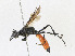  ( - CBG-A24278-B07)  @11 [ ] CreativeCommons - Attribution Share - Alike (2023) CBG Photography Group Centre for Biodiversity Genomics